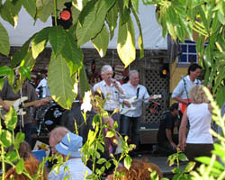 Peter Nelson and The Castaways